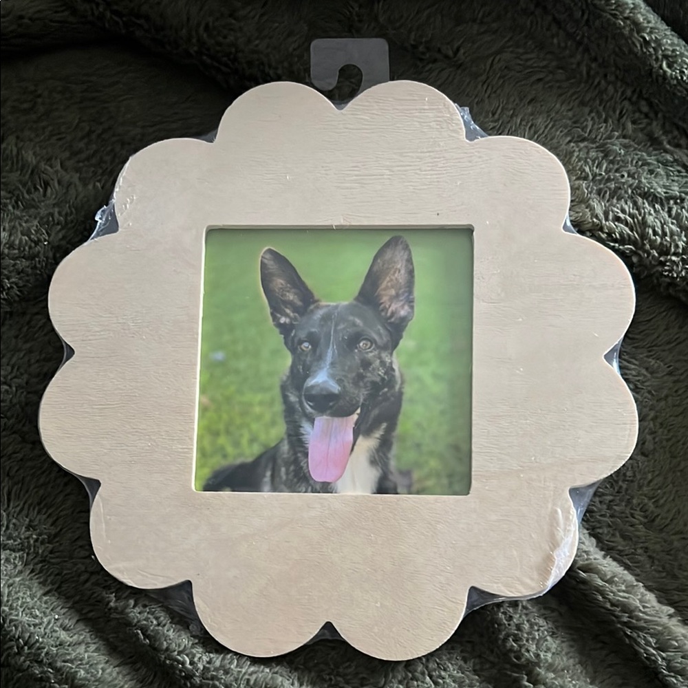Scalloped Edge Dog Photo Frame - Cream